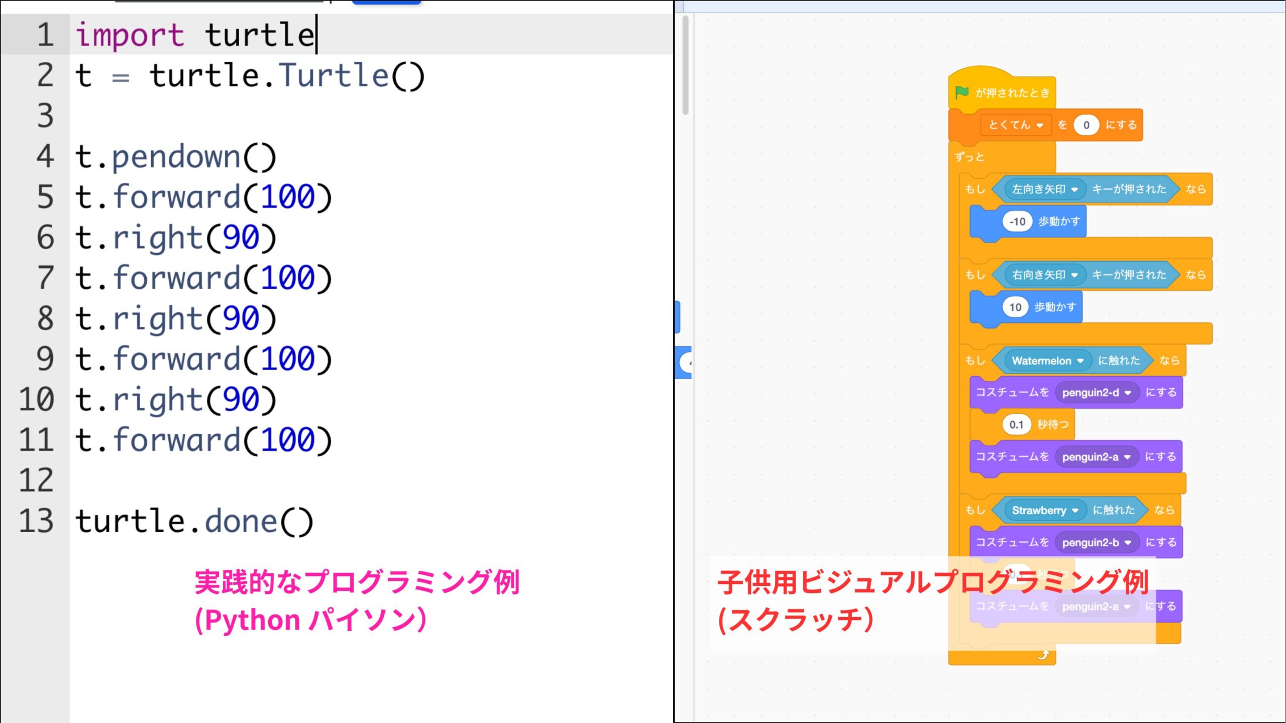 プログラミング比較
Python Scratch