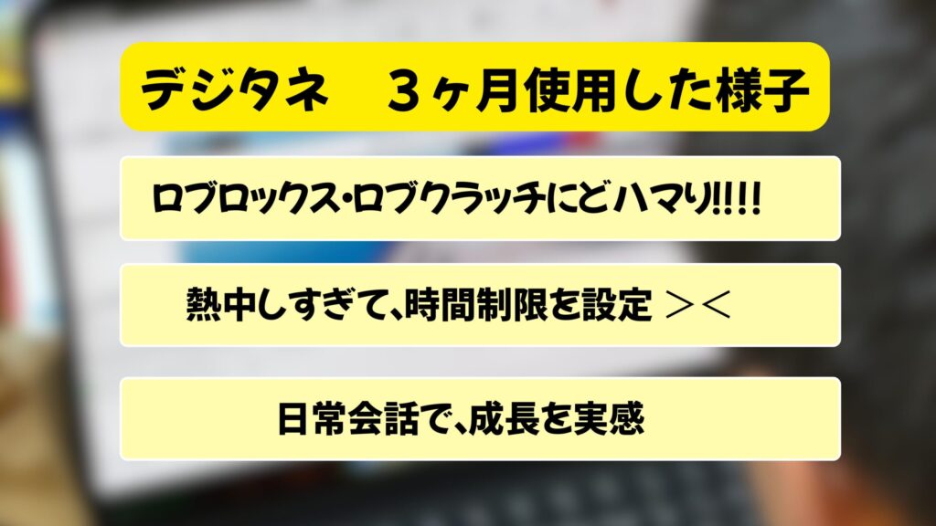 デジタネ 3ヶ月使用した様子