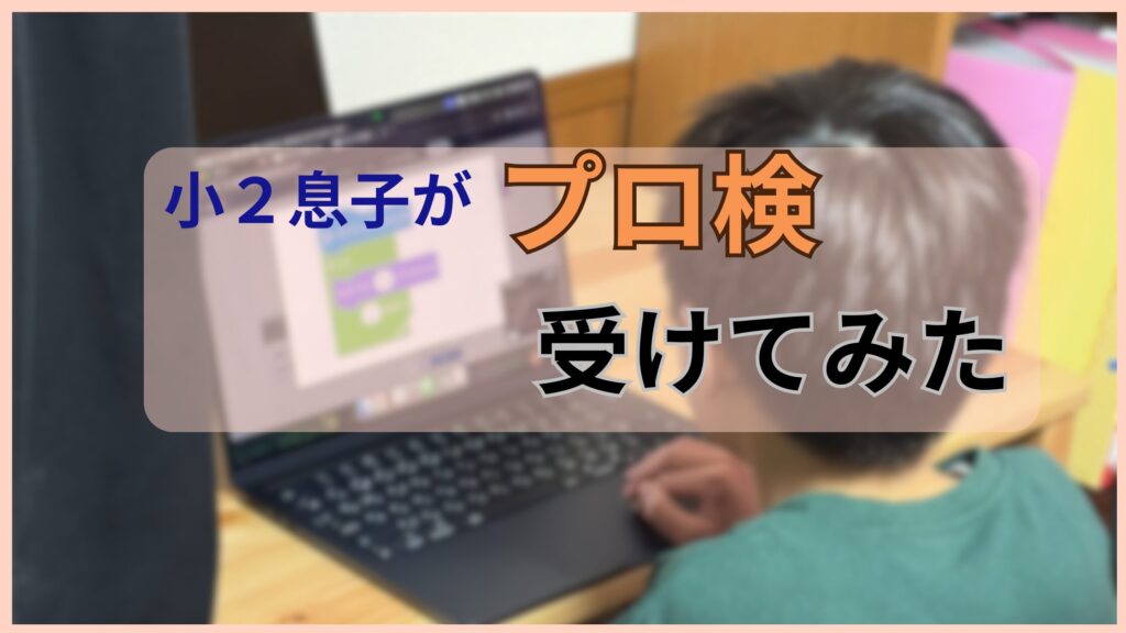 プロ検を実際に小２の息子が受けた様子