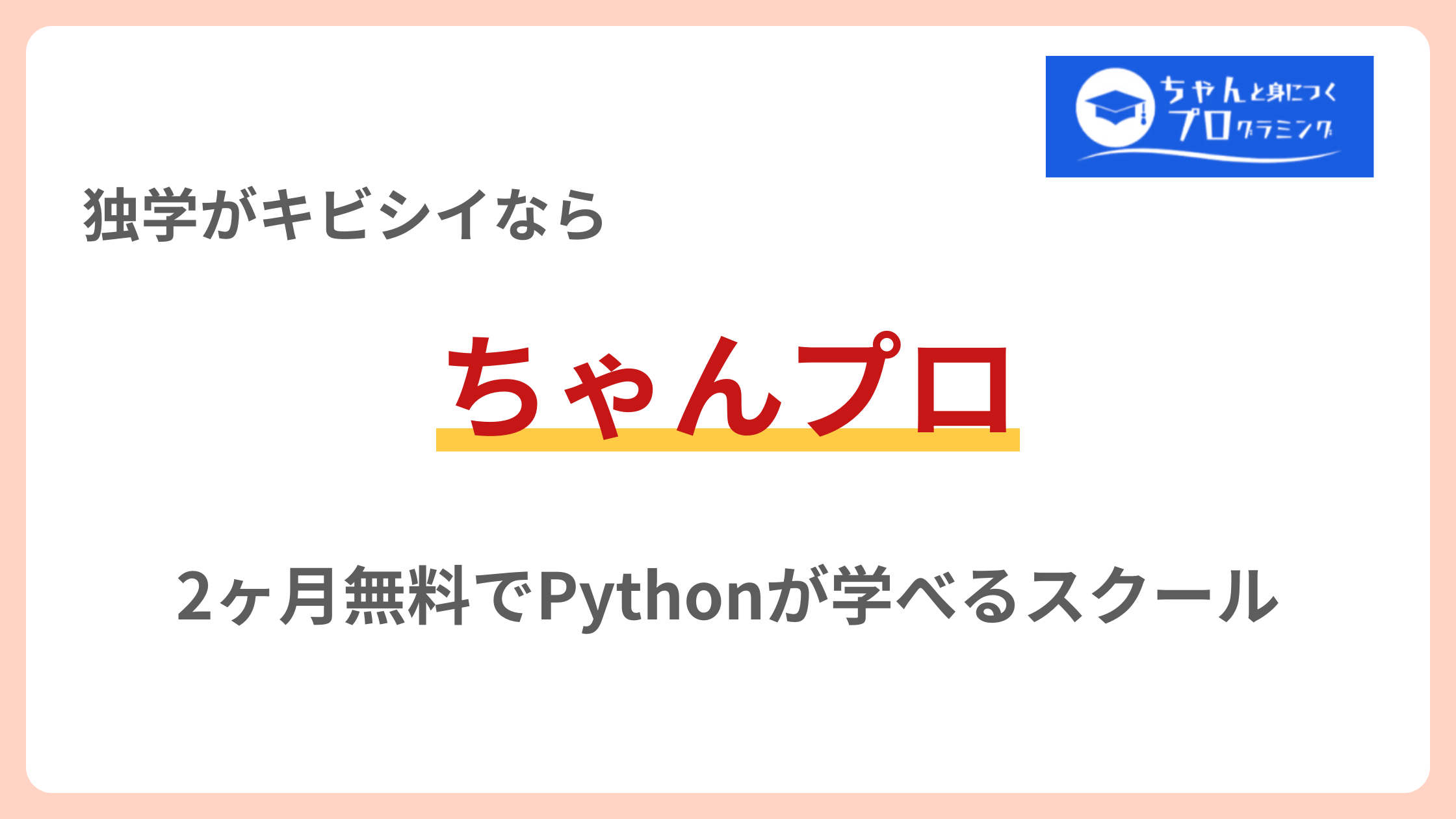 ちゃんプロ　独学が不安なら